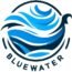 bluewaterexim.com